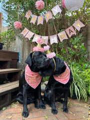 Gold Foil Birthday Girl Bandana