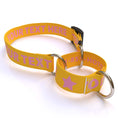 Load image into Gallery viewer, Personalized Solid Colored Martingale Collar
