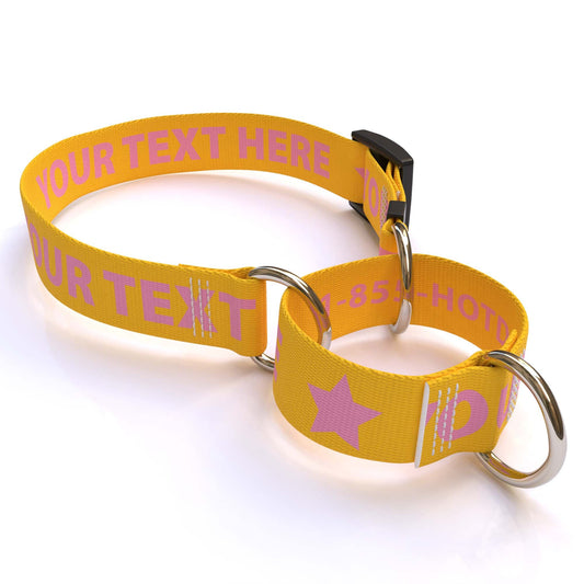 Personalized Solid Colored Martingale Collar