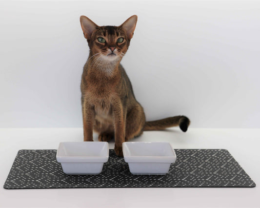 Bowsers Gourmet Pet Food Placemat in allumina