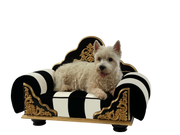 Grace Kelly, Pet Bed: Black & White Stripes