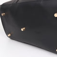 Load image into Gallery viewer, Grand Voyager Dog Carrier
