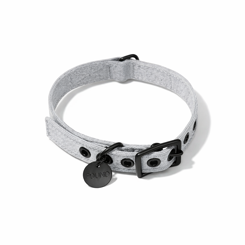 Gray Waxed Cotton Canvas Cat & Dog Collar – Matte Black Hardware