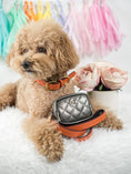 Load image into Gallery viewer, Ainsley Dog Collar

