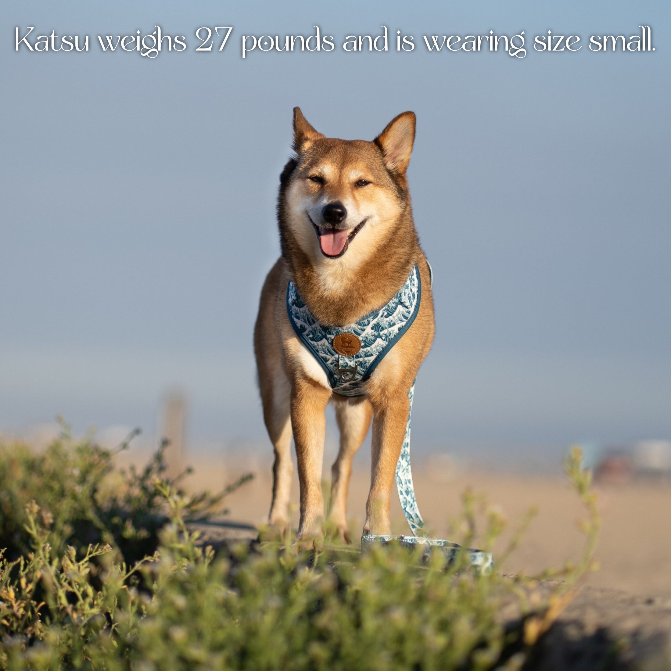 Great Wave Harness - Southlake Paws