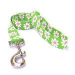 Green Daisy Dog Leash