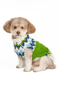Load image into Gallery viewer, Spring Ski Bum Dog Sweater
