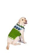 Load image into Gallery viewer, Spring Ski Bum Dog Sweater
