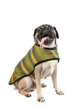 Camp Green Blanket Coat
