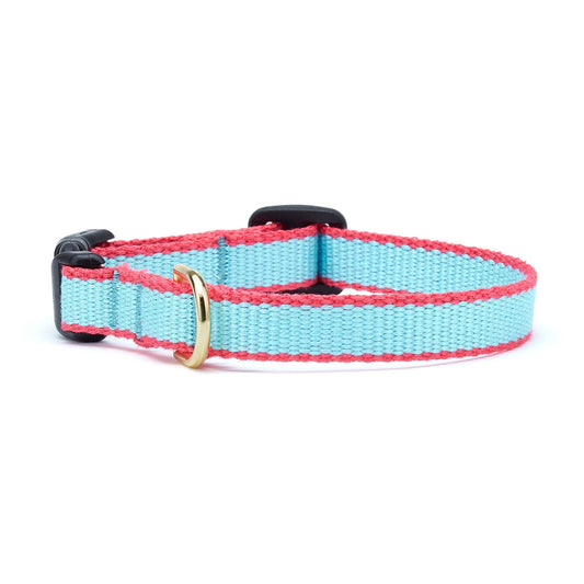 Color Market Dog Collar - Small Breed