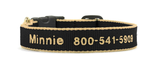 Up Country Color Market - Wide Cast Brass Dog Collar