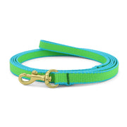 Color Market Small Breed Dog Lead