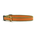 Load image into Gallery viewer, Color Market Dog Collar - Small Breed
