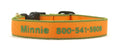 Load image into Gallery viewer, Color Market Dog Collar - Wide
