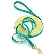 Color Market Training Lead