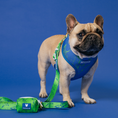 Load image into Gallery viewer, Frenchie Duo Reversible Harness - Green Marble
