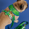 Load image into Gallery viewer, Frenchie Duo Reversible Harness - Green Marble
