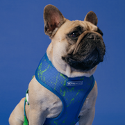 Frenchie Duo Reversible Harness - Green Marble