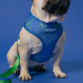 Load image into Gallery viewer, Frenchie Duo Reversible Harness - Green Marble
