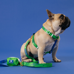 Frenchie Strap Harness - Green Marble