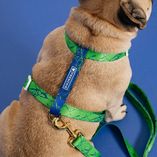 Frenchie Strap Harness - Green Marble