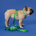 Load image into Gallery viewer, Frenchie Strap Harness - Green Marble
