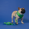 Load image into Gallery viewer, Frenchie Duo Reversible Harness - Green Marble
