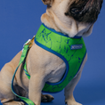 Load image into Gallery viewer, Frenchie Duo Reversible Harness - Green Marble
