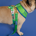 Load image into Gallery viewer, Frenchie Duo Reversible Harness - Green Marble
