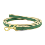 Color Market Small Breed Dog Lead
