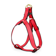 Color Market Dog Harness
