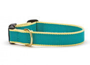 Color Market Dog Collar - Wide