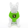 Load image into Gallery viewer, EcoBark Lime Green Dog Harness - Over-the-Head Soft Mesh Dog Vest Halter for Small to Medium Dogs and Puppies

