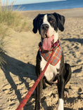 Load image into Gallery viewer, Grey Plaid Luxe Flannel Dog Bandana
