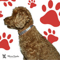 Load image into Gallery viewer, Fabric Dog Collar - Grey
