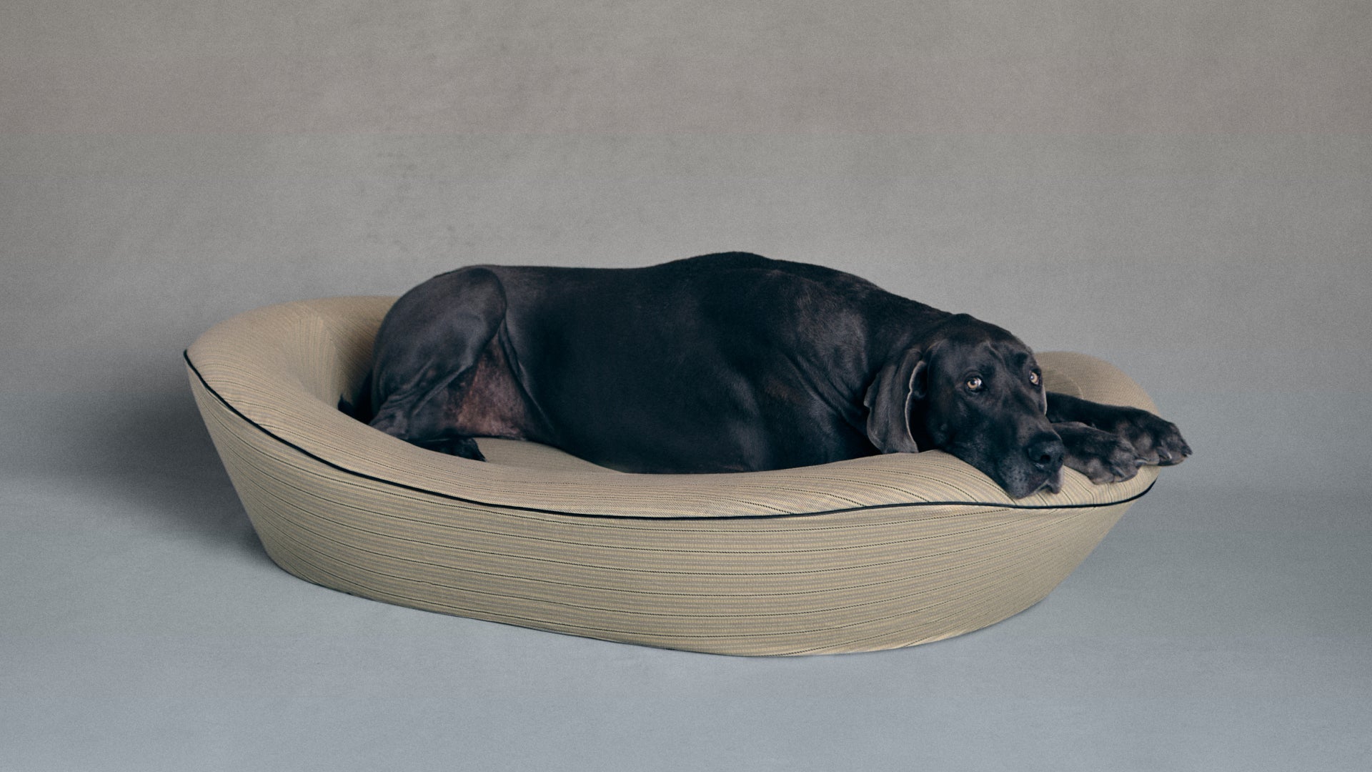 Timeless Dog Bed in Finch & Flint