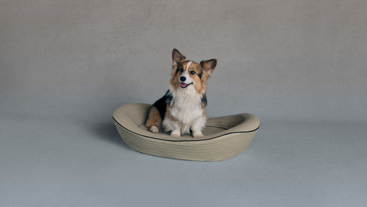 Timeless Dog Bed in Finch & Flint