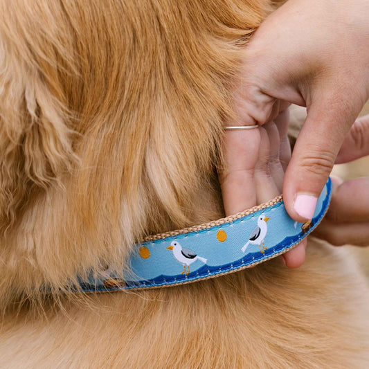 Up Country Gull Watch Cast Brass Martingale Collar