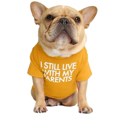 "I Still Live With My Parents" Dog T-Shirt - Southlake Paws
