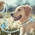 Load image into Gallery viewer, Light Blue Flower Dog Collar & Leash Set with Matching Poop Bag Case | Personalized Free - Southlake Paws
