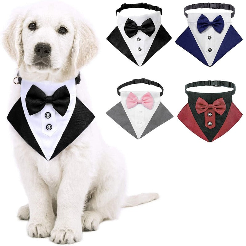 Tuxedo Bow Tie Buckle Collar