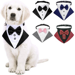 Tuxedo Bow Tie Buckle Collar