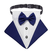 Tuxedo Bow Tie Buckle Collar