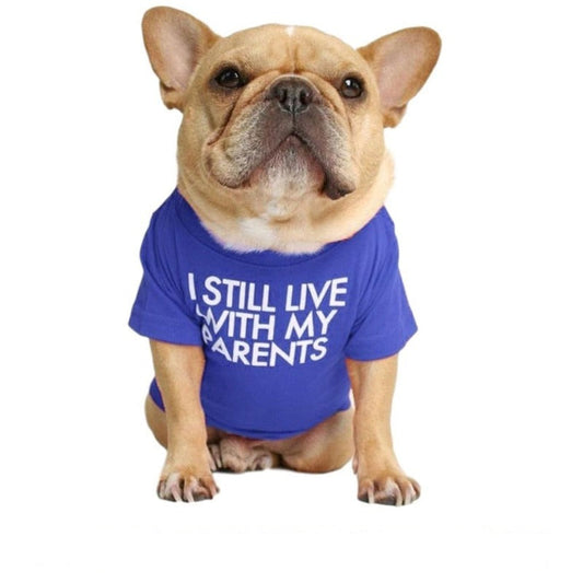 "I Still Live With My Parents" Dog T-Shirt - Southlake Paws
