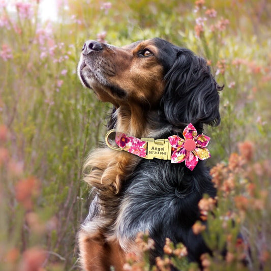 Pink Rose Flower Dog Collar & Leash Set  | Personalized Free - Southlake Paws