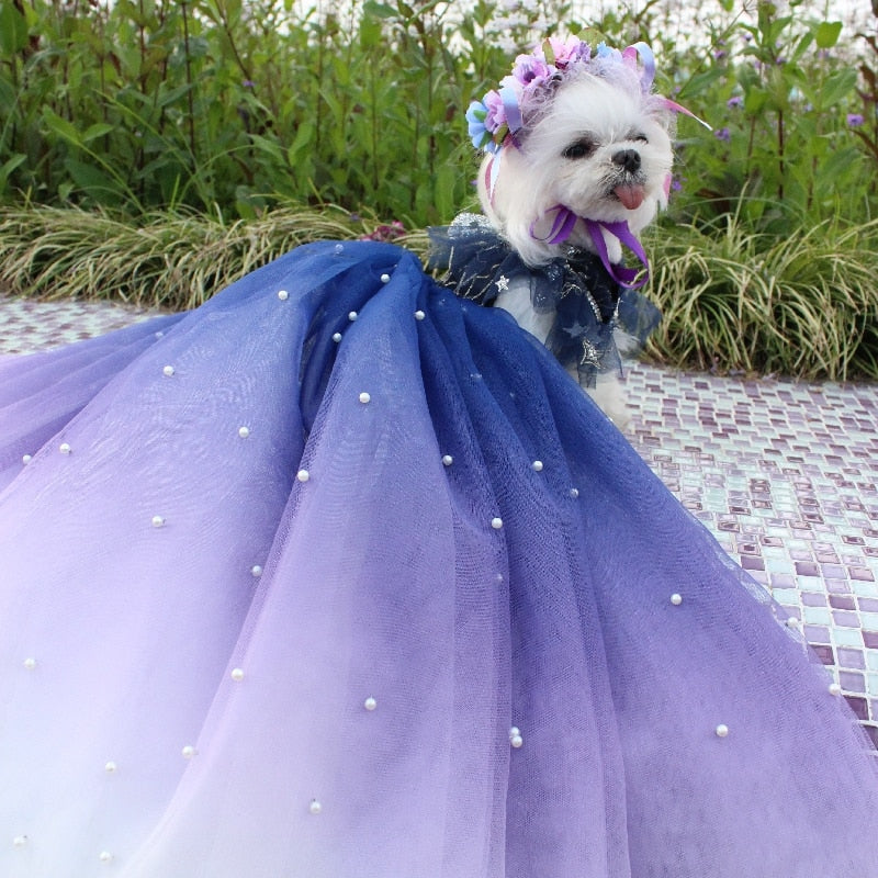 Designer Handmade Navy Blue Trailing Dog Party Dress - Southlake Paws