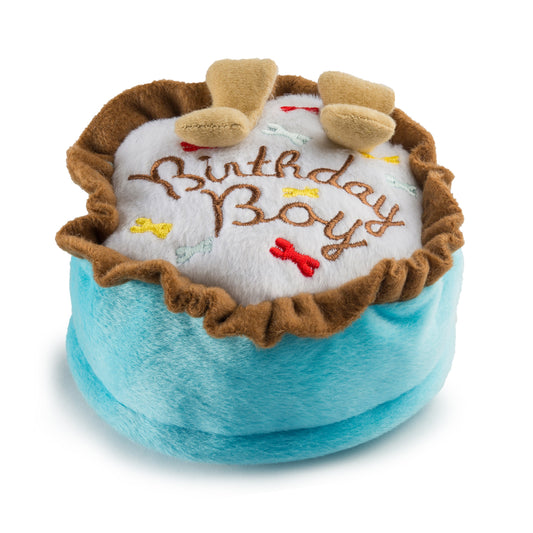Birthday Boy Cake Toy