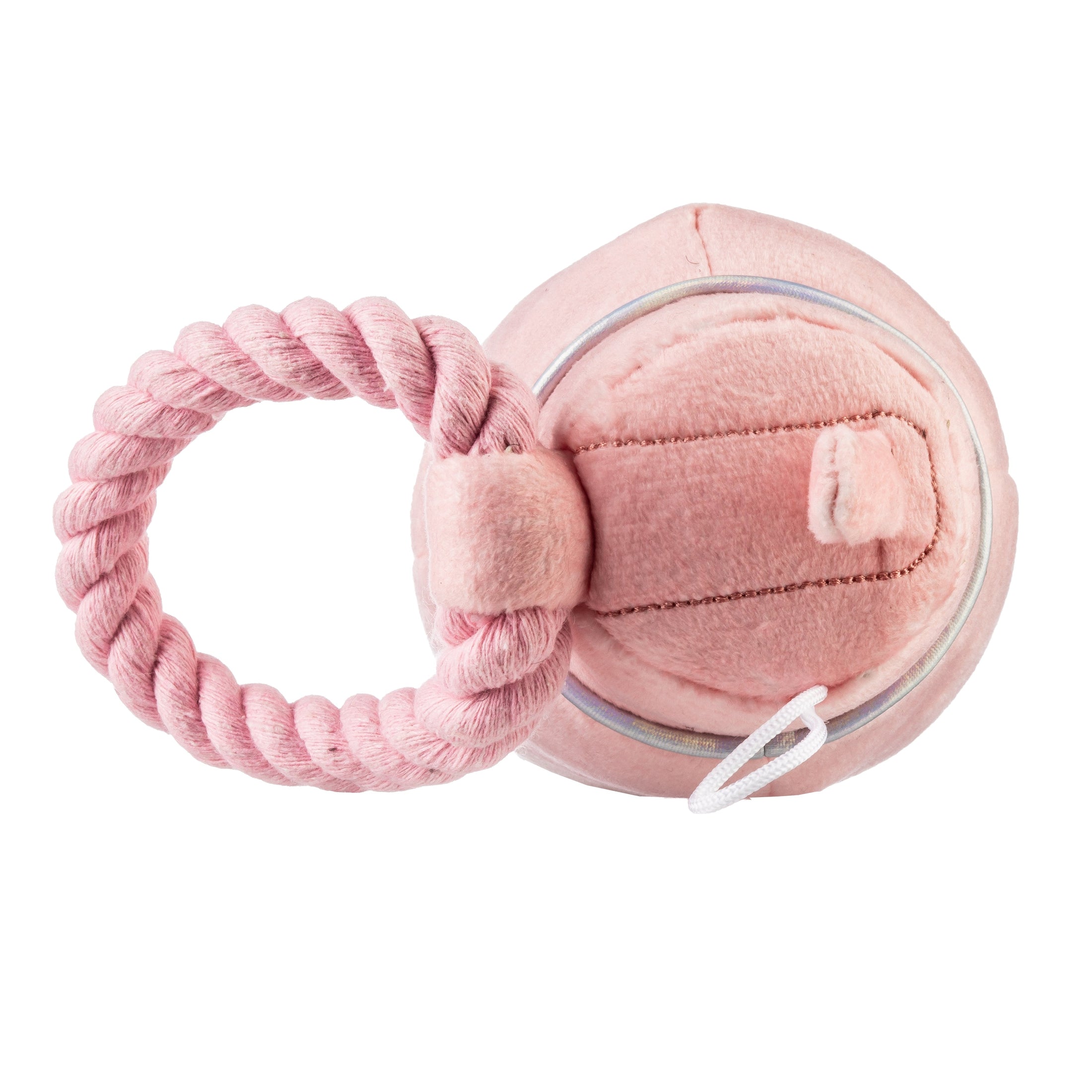 Pawlates Princess Water Bottle | Squeaky Plush Dog Toy with Crinkle & Mesh Lining