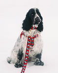 Load image into Gallery viewer, Hearts and Flowers Dog Collar

