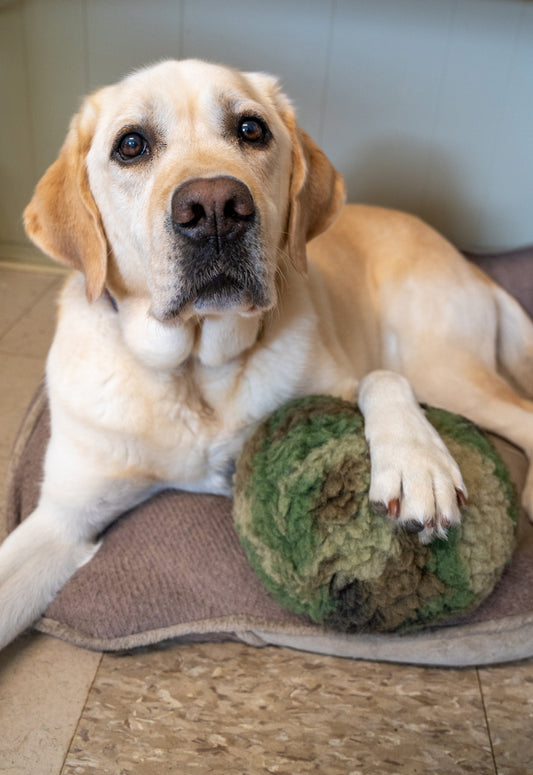 Plush Dog Toy Premium HuggleCause™, Warrior Canine Connection, Camouflage HuggleFleece® Plush Ball Dog Toy